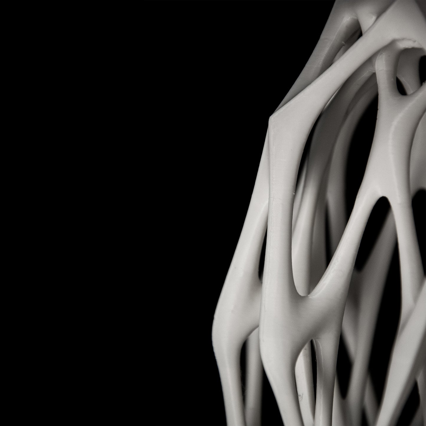 Vortex
